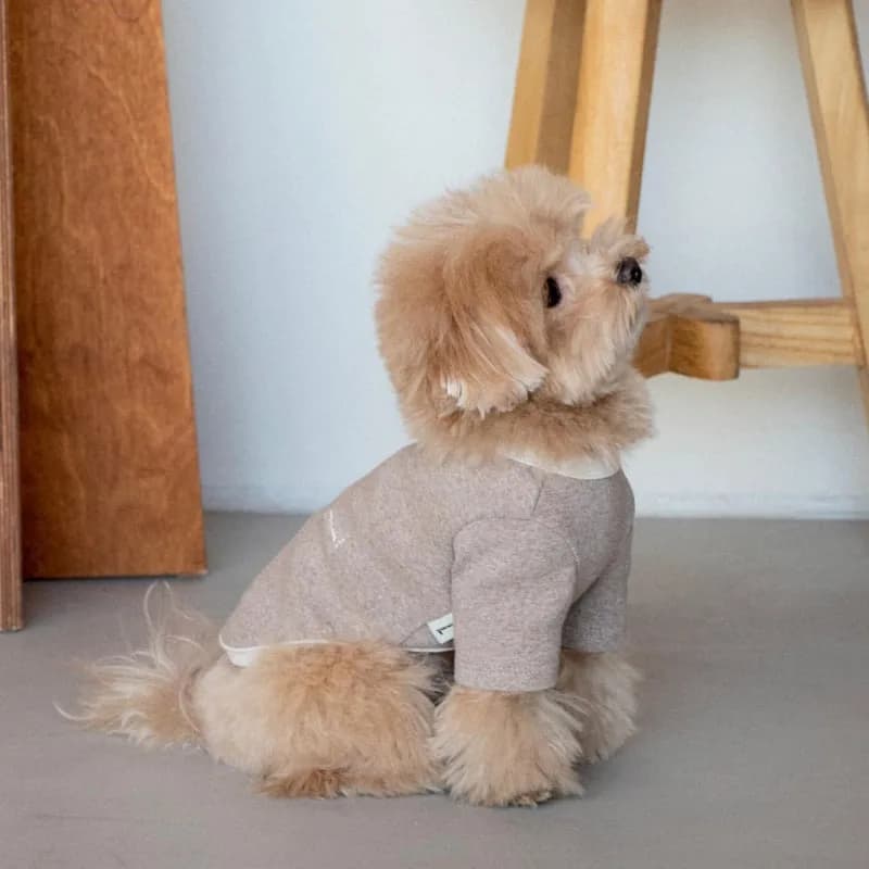 Fleece Dog Vest Winter Warm Hoodie