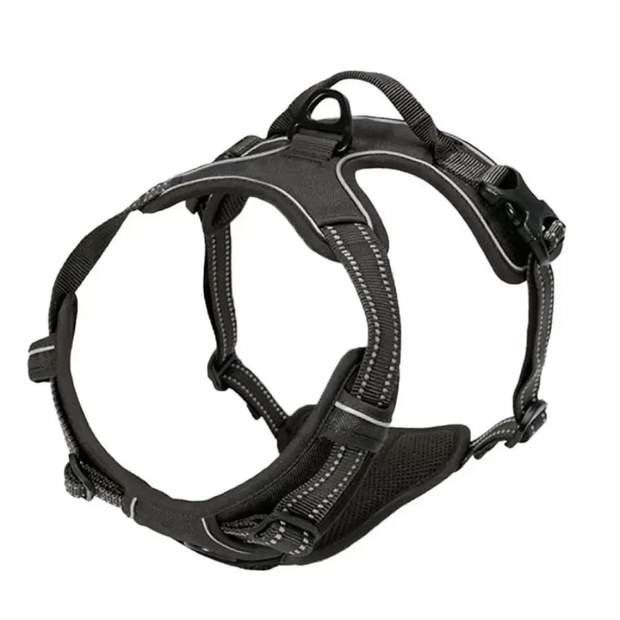 Dog Collar Harness and Leash Set