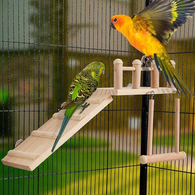 Wooden Bird Platform Swing and Climbing Ladder