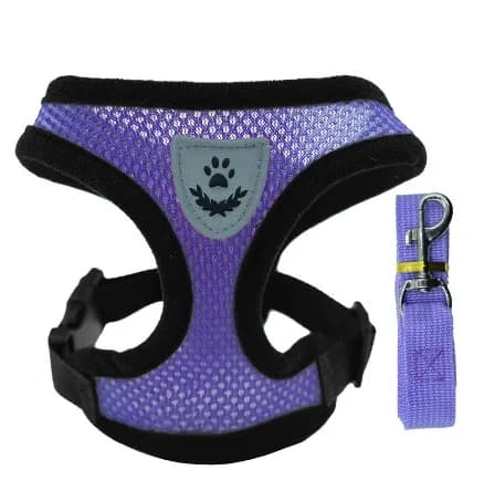 Adjustable Mesh Pet Harness Vest with Leash