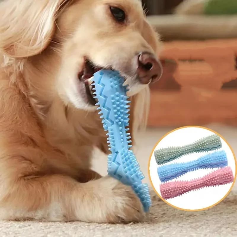 Soft Rubber Dog Chew Toy Toothbrush