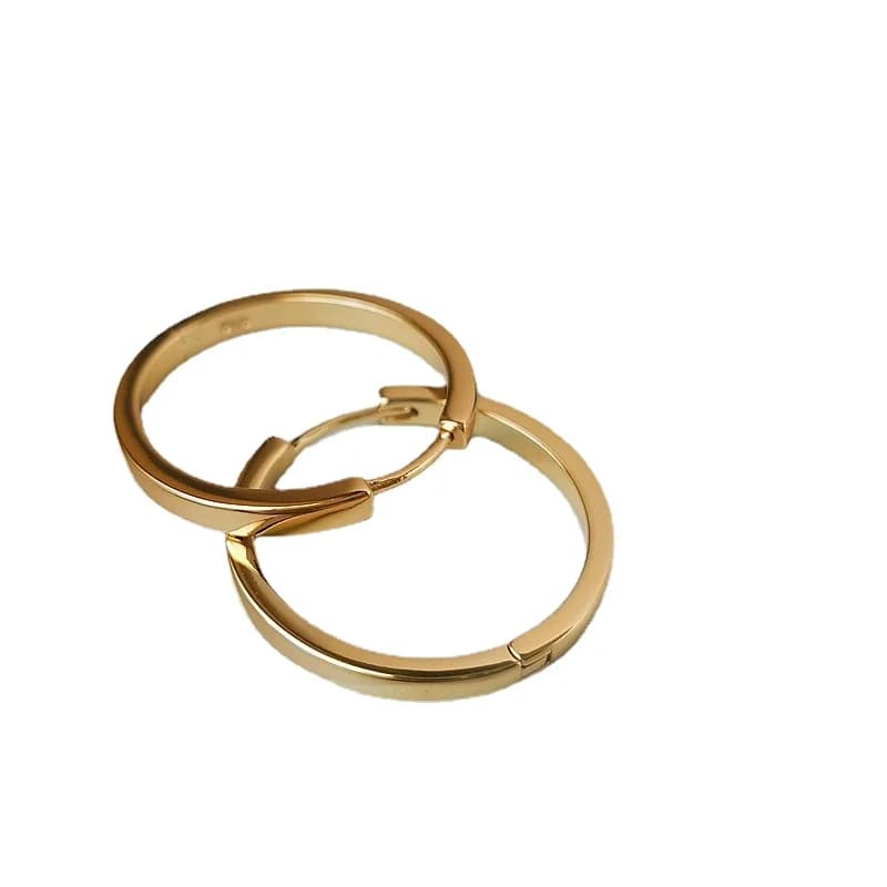 Big Round Hoop Earrings