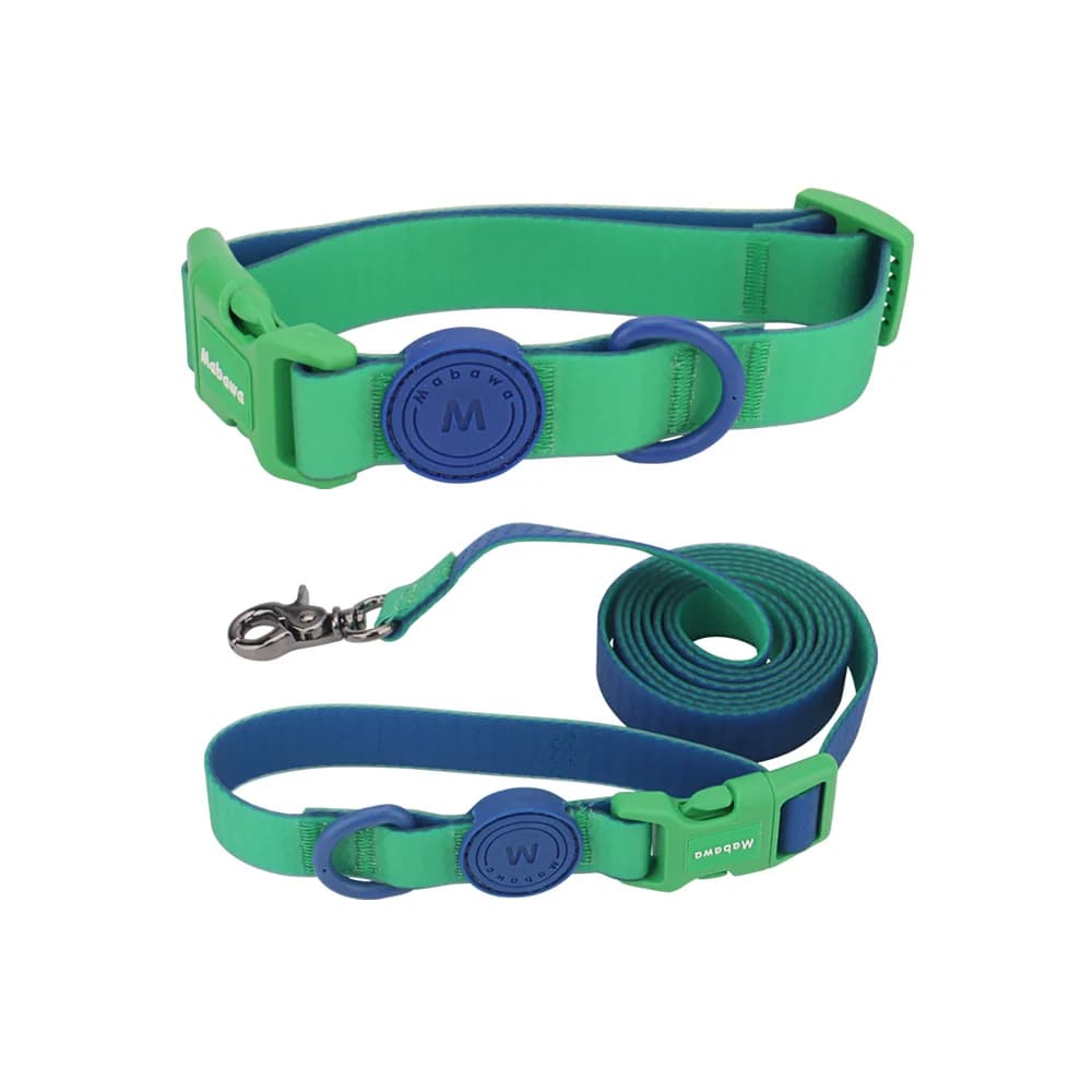 Candy Color Medium Pet Collar with Leash