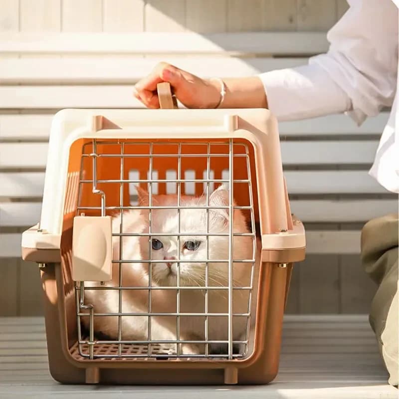Portable Pet Carrier with Hinged Roof