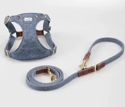 Adjustable Small Dog Harness Teddy Cute Pet Supplies