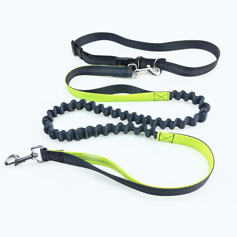 Dog Running Leash for Pet Supplies