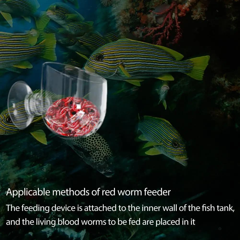 Transparent Fish Feeder Cone with Suction Cups for Aquariums