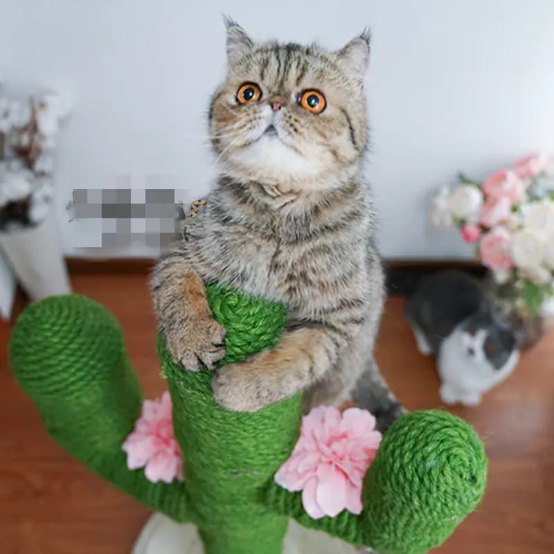 Colorful Jute Rope for DIY Crafts and Cat Toys (10m)