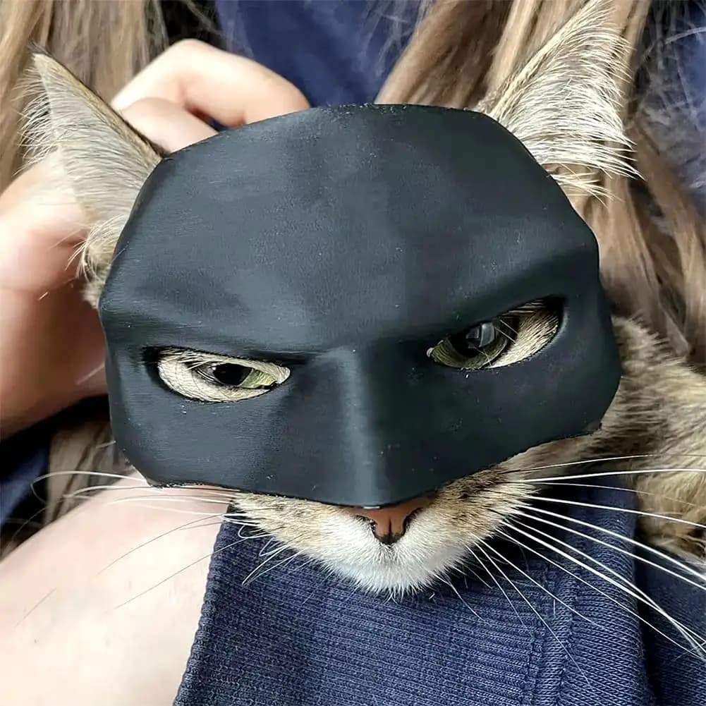 Cat Bat Superhero Mask Halloween Costume