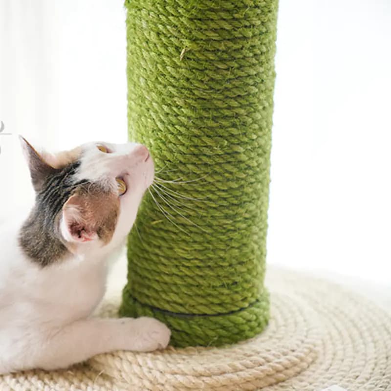 Colorful Jute Rope for DIY Crafts and Cat Toys (10m)