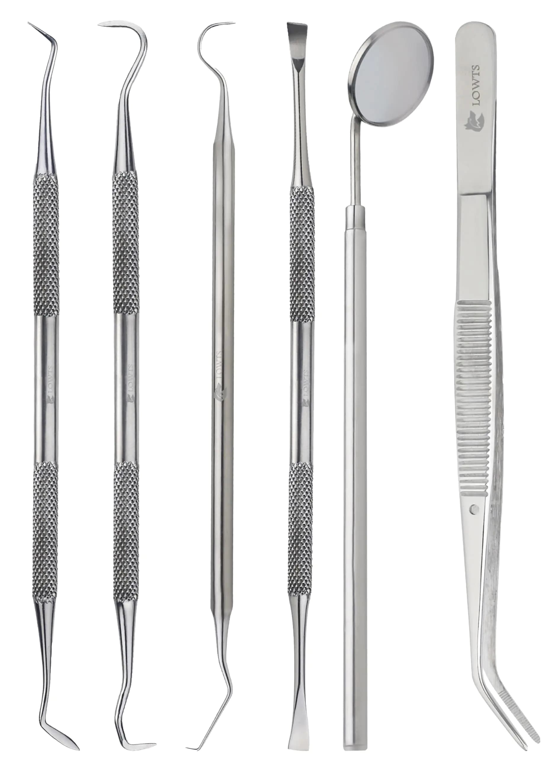 Stainless Steel Dental Hygiene Cleaning Kit