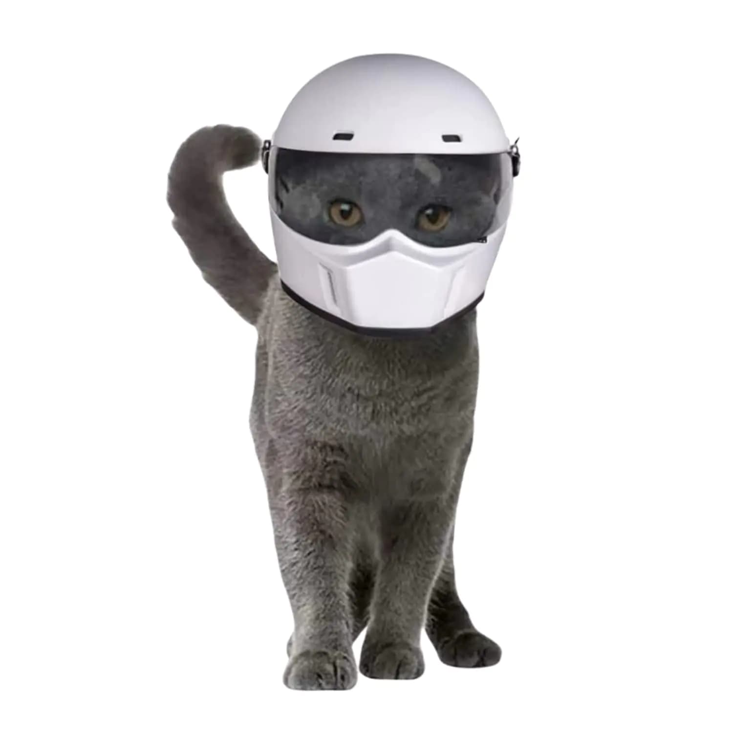 Pet Motorcycle Helmet For Cats And Dogs