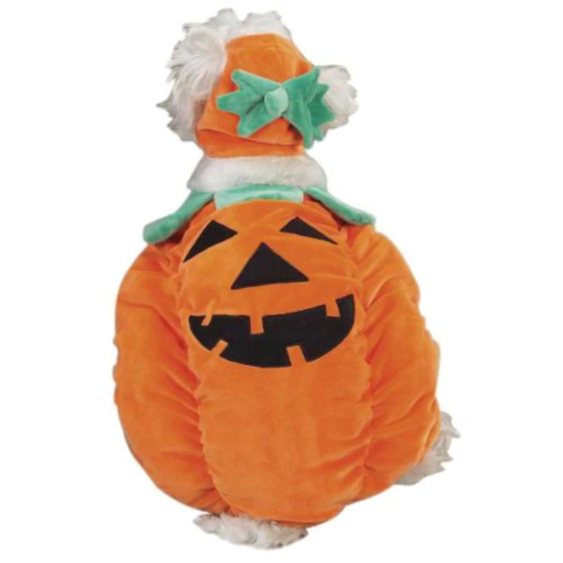 Zack & Zoey Pumpkin Pooch Costume Medium Orange