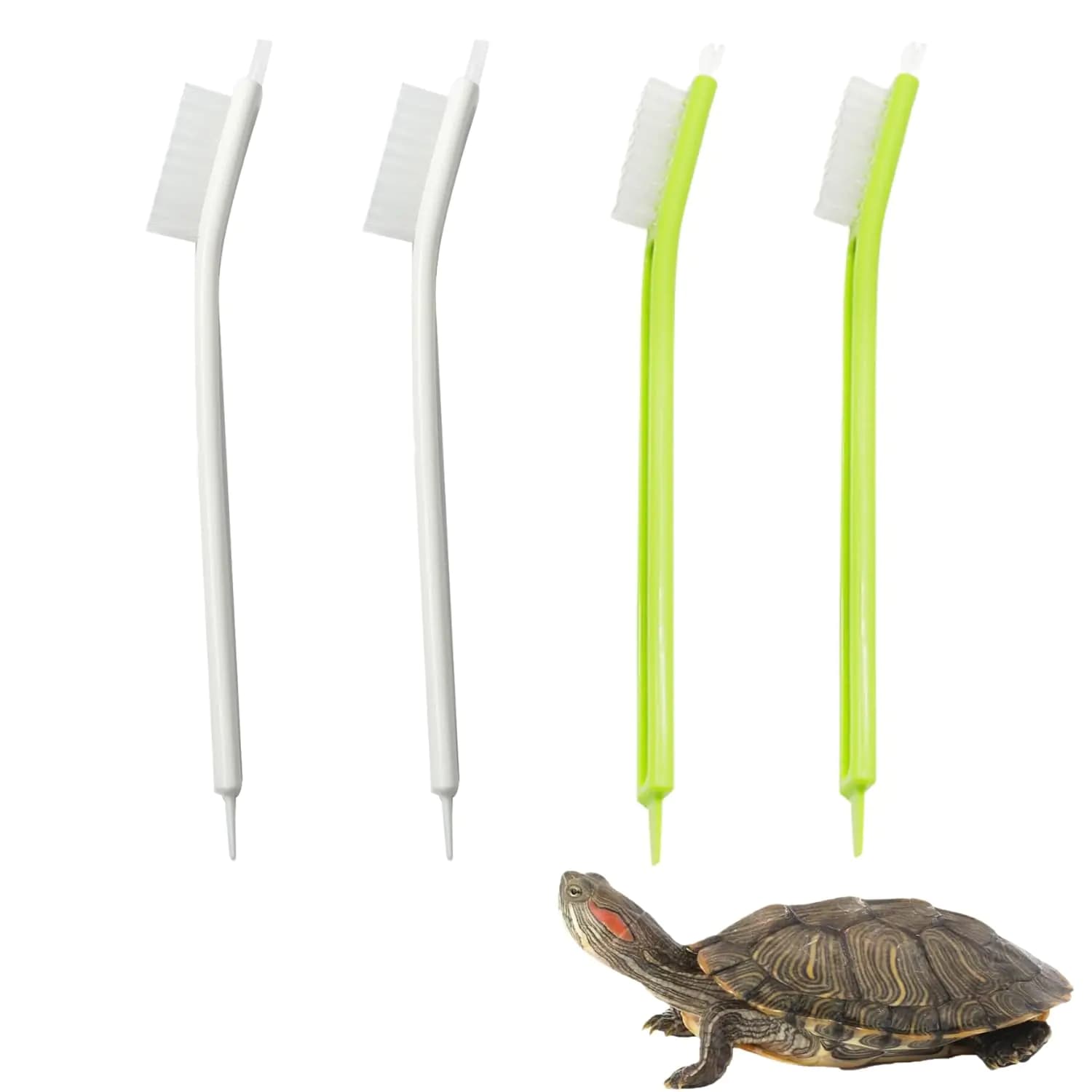Turtle Shell Cleaning Brush Set, Four Pieces