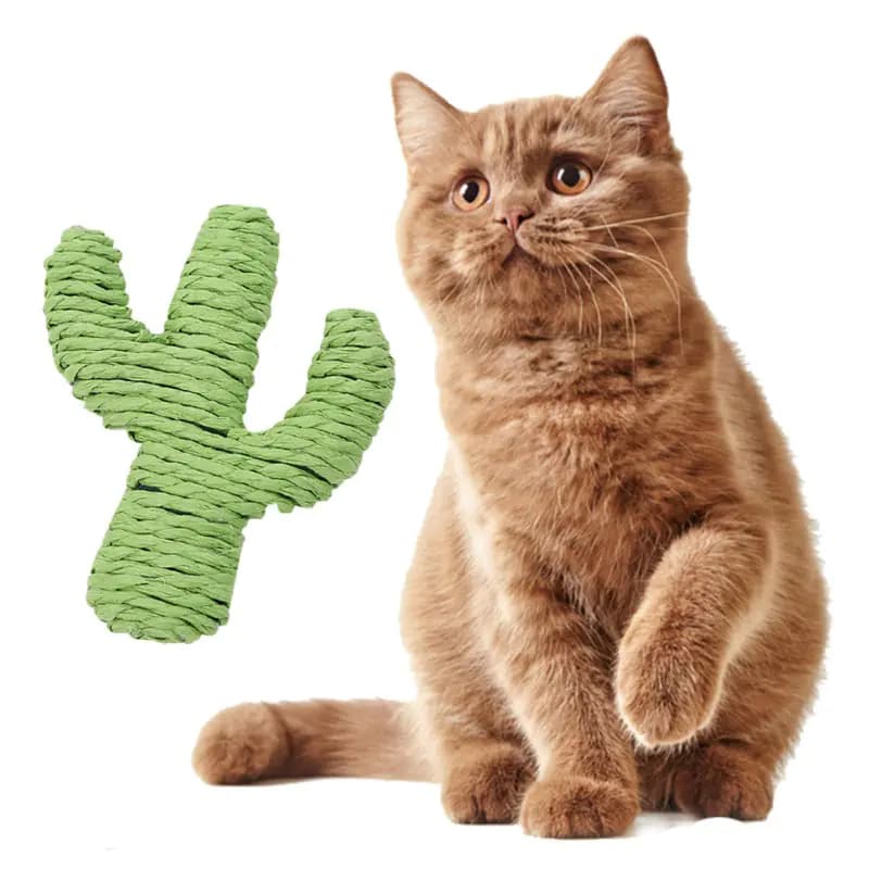 Cactus Cat Toy and Avocado Pet Supplies