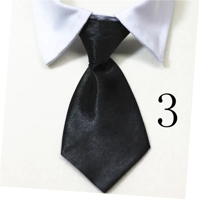 Pet Supplies: Cat & Dog Collars and Ties