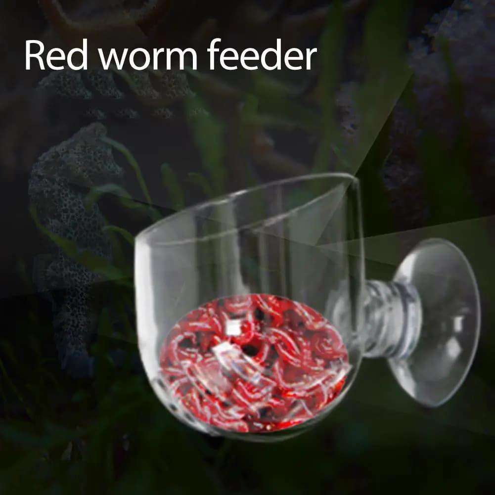 Transparent Fish Feeder Cone with Suction Cups for Aquariums