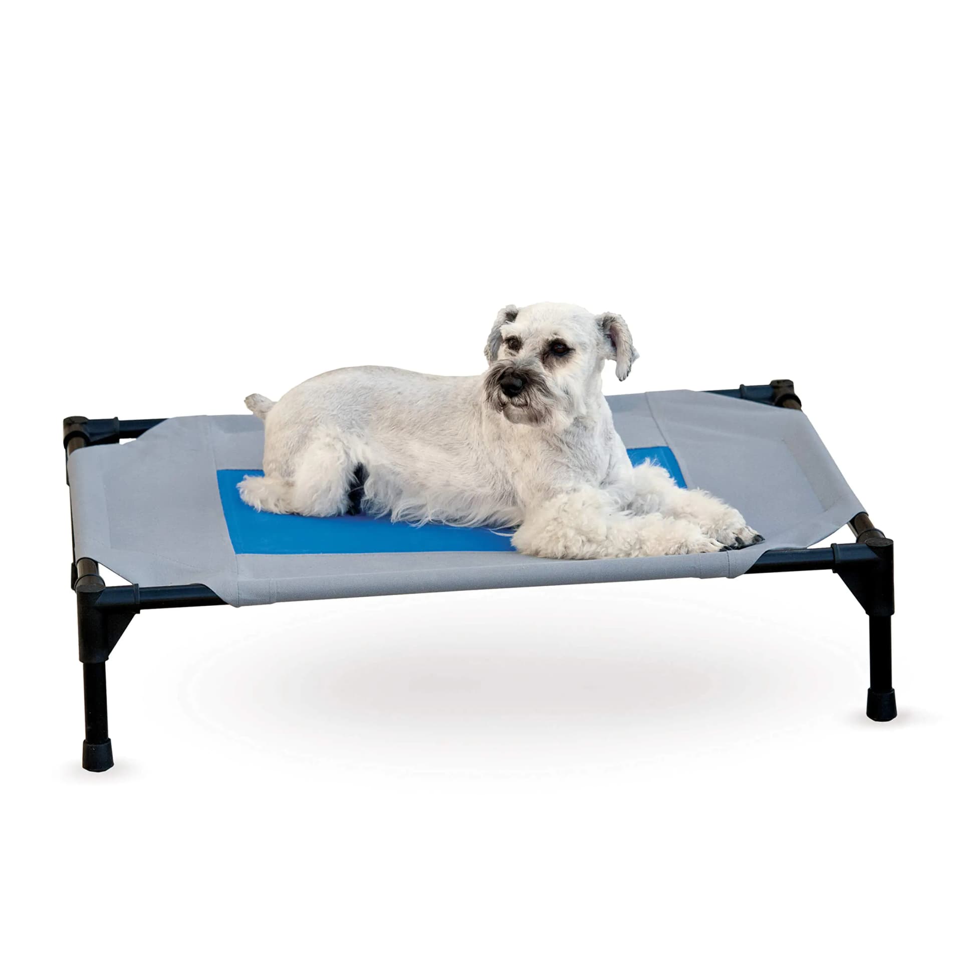 Elevated Cooling Pet Cot Gray Blue Medium