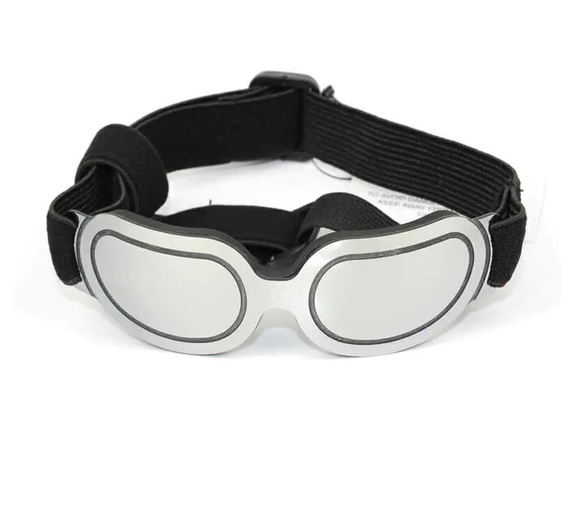 Colorful Dog Sunglasses & Cat Sunglasses for Pets