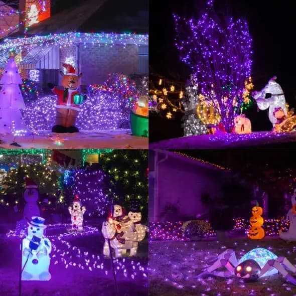 Halloween Purple LED Fairy String Lights 200 Count