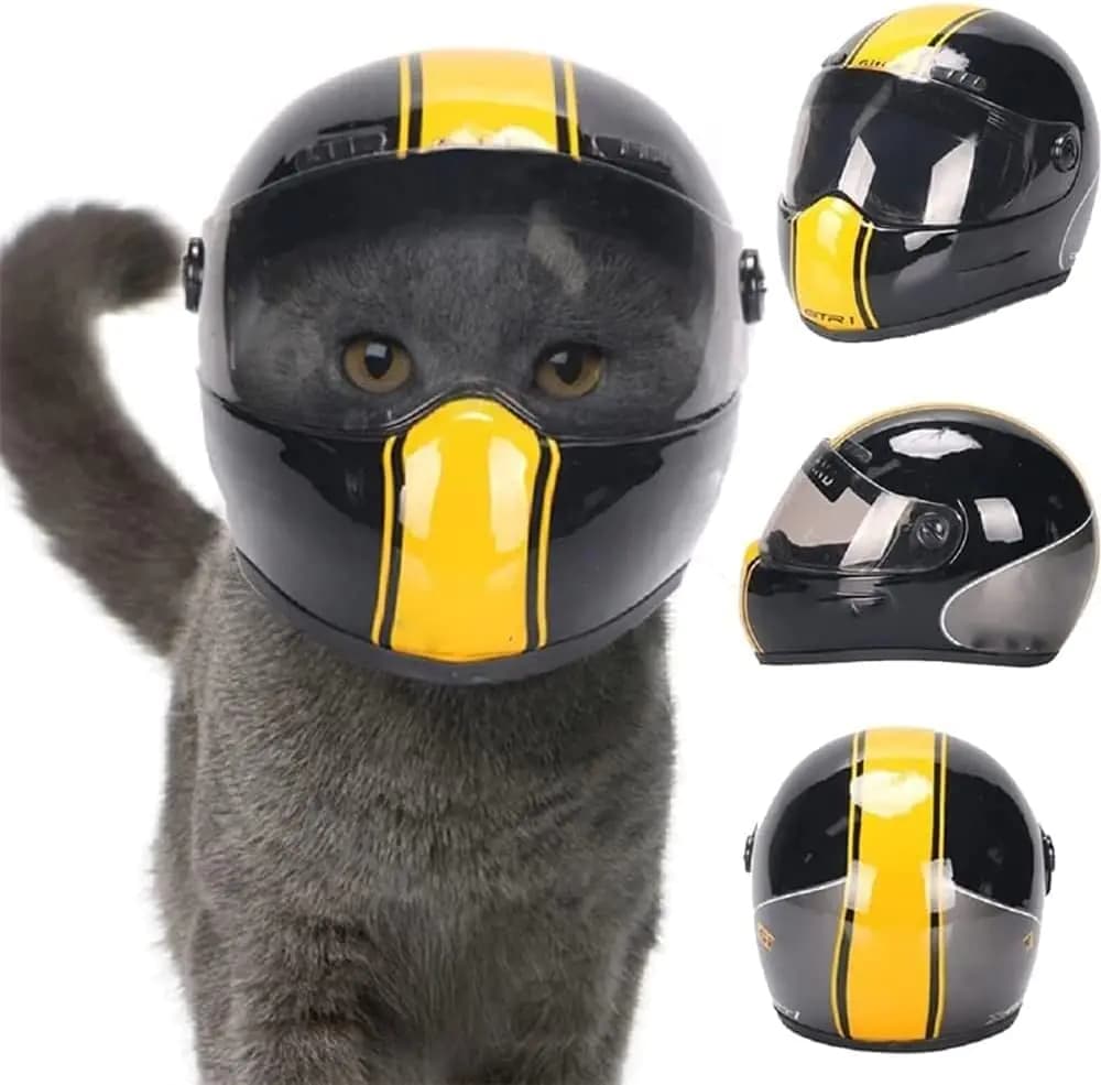 Pet Full Face Motorcycle Helmet Black