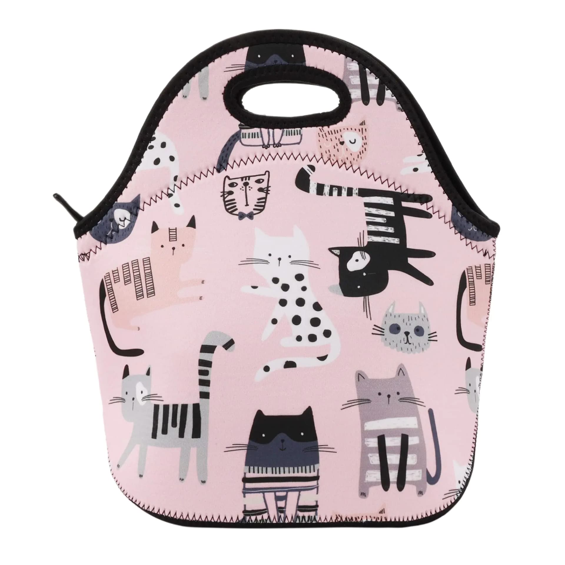 Aiphamy Neoprene Lunch Bag Insulated Lunch Box Tote for Women Men Adult Teens (Pink Cat)
