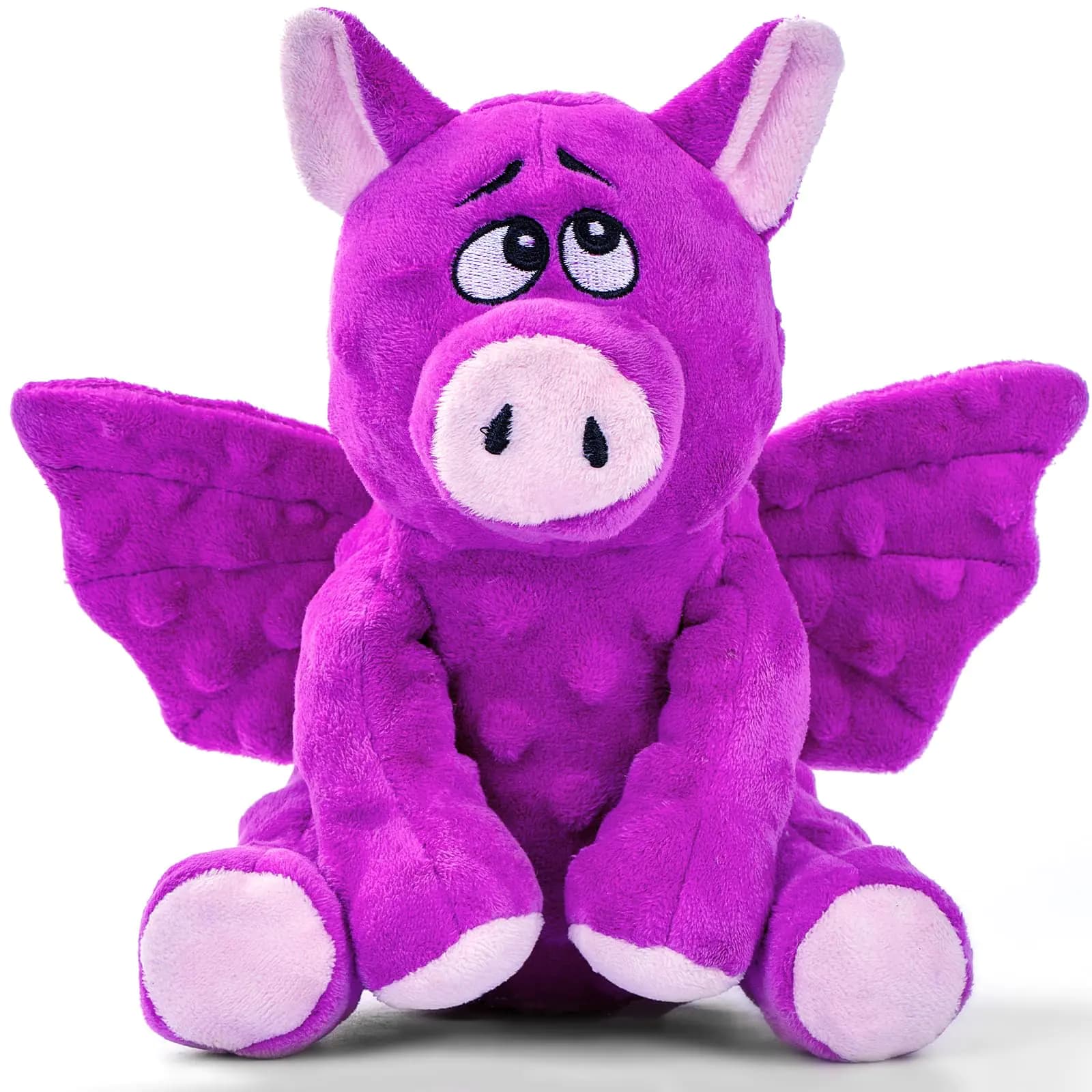 Squeaky Plush Dog Toys with Crinkle Paper