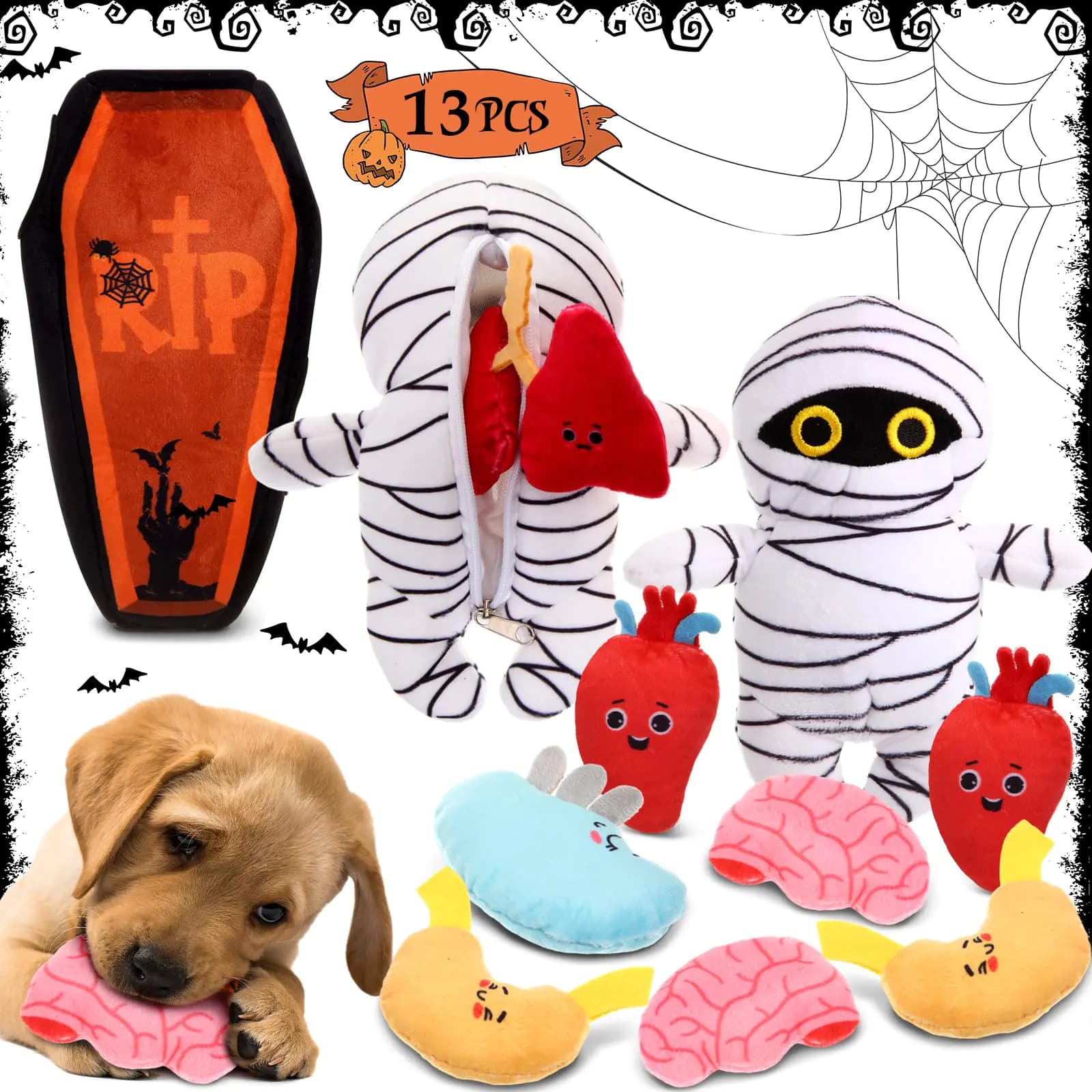 Halloween Coffin Dog Toys with Squeaky Organs