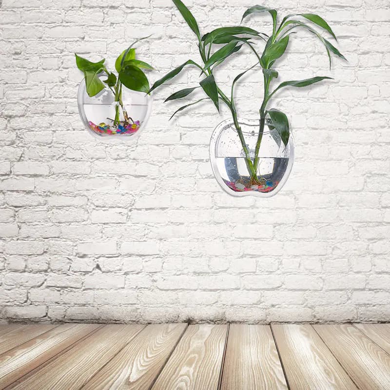 Wall Planter for Home Decor