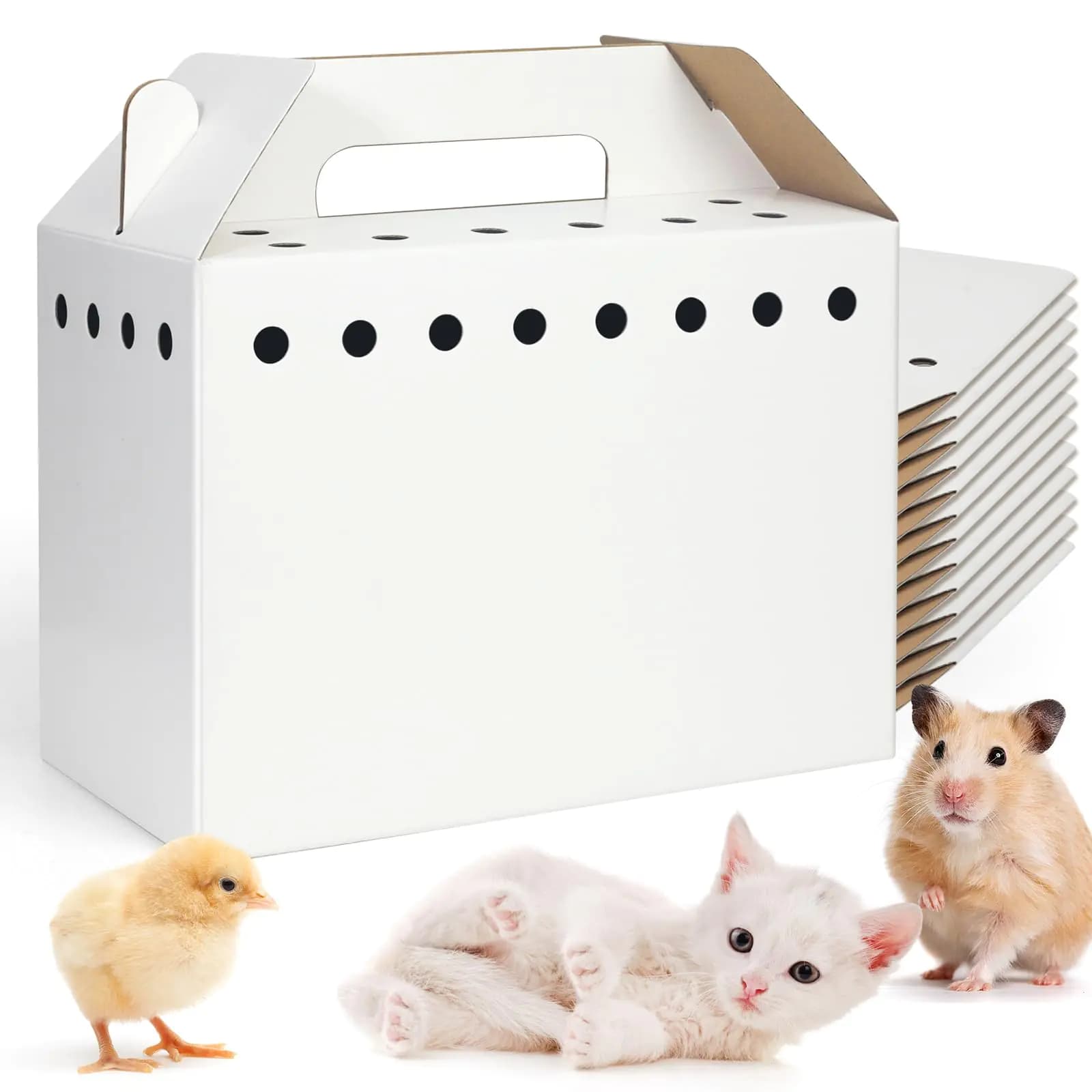 Disposable Cardboard Pet Carrier for Small Animals-12 Pack