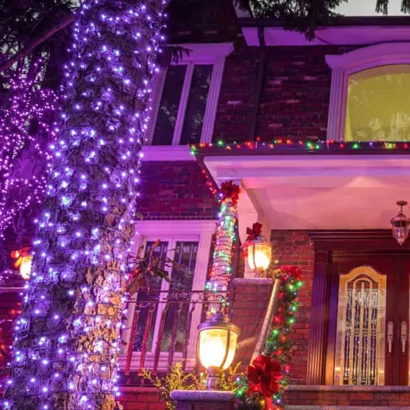 Halloween Purple LED Fairy String Lights 200 Count