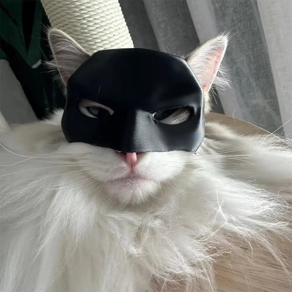 Cat Bat Superhero Mask Halloween Costume
