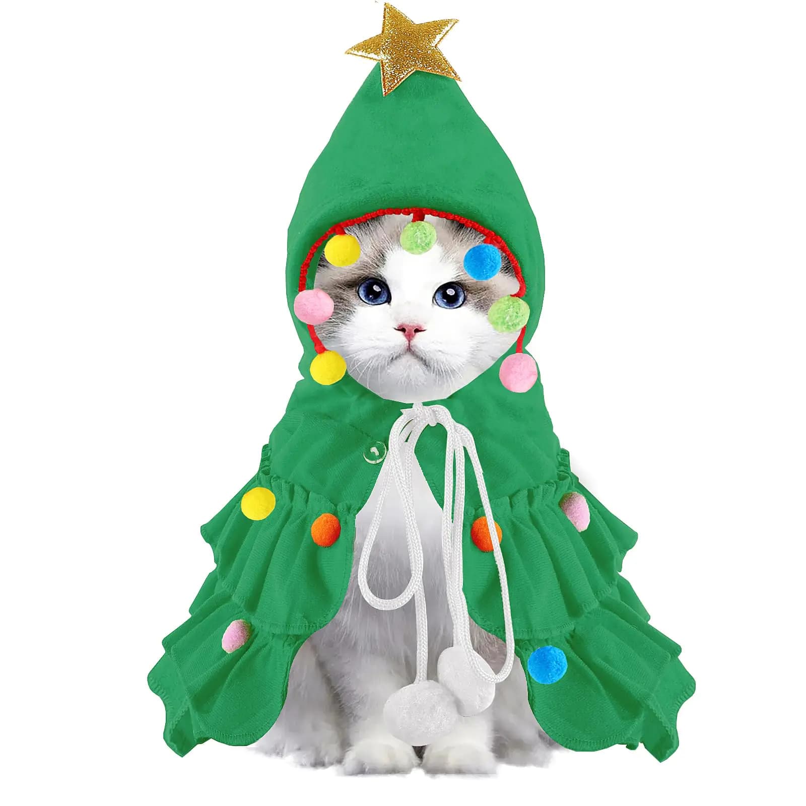 Cat Christmas Outfit Green Cloak Hat