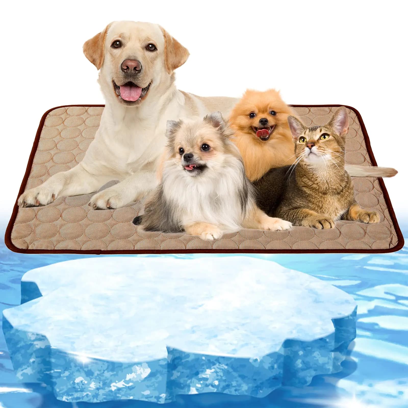 Dog and Cat Cooling Mat Portable