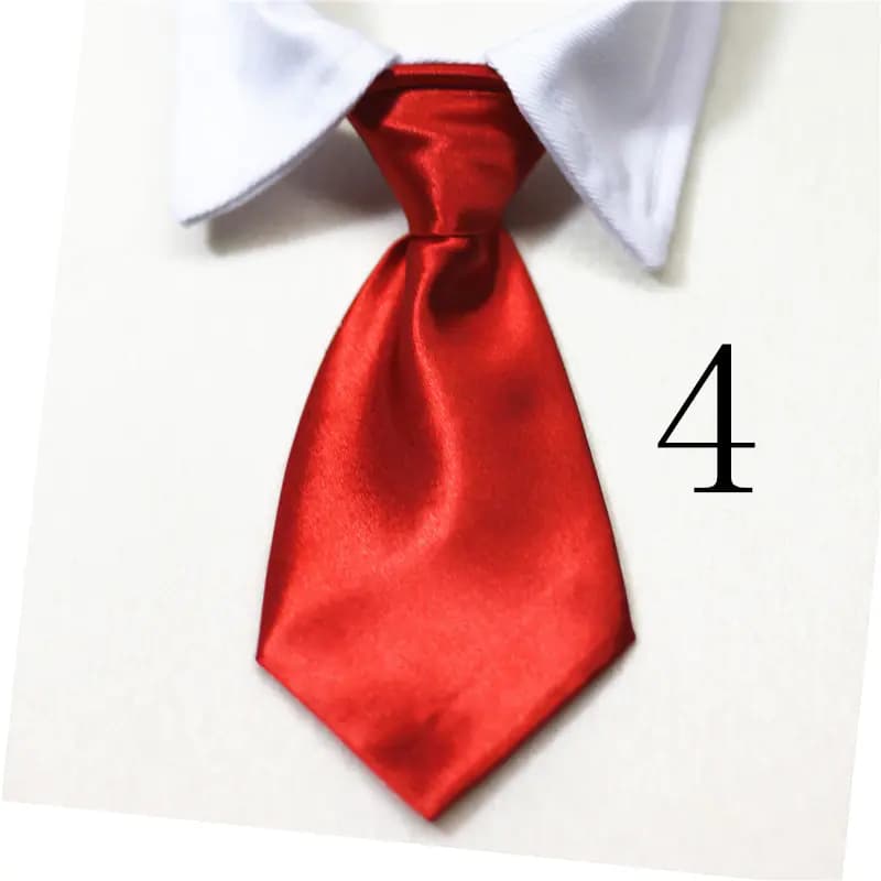 Pet Supplies: Cat & Dog Collars and Ties