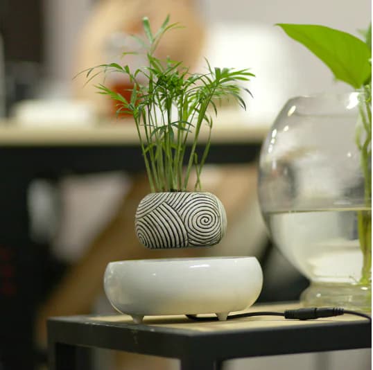 Floating Flower Pot for Home Decor