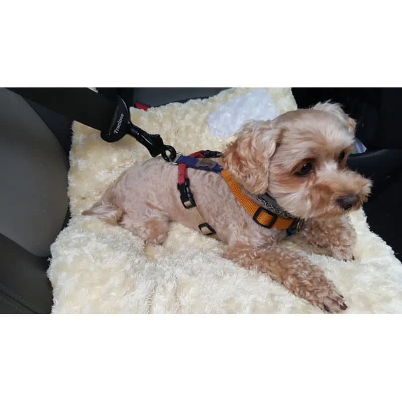 Pet Safety Belt for Dogs - Car Travel Accessories