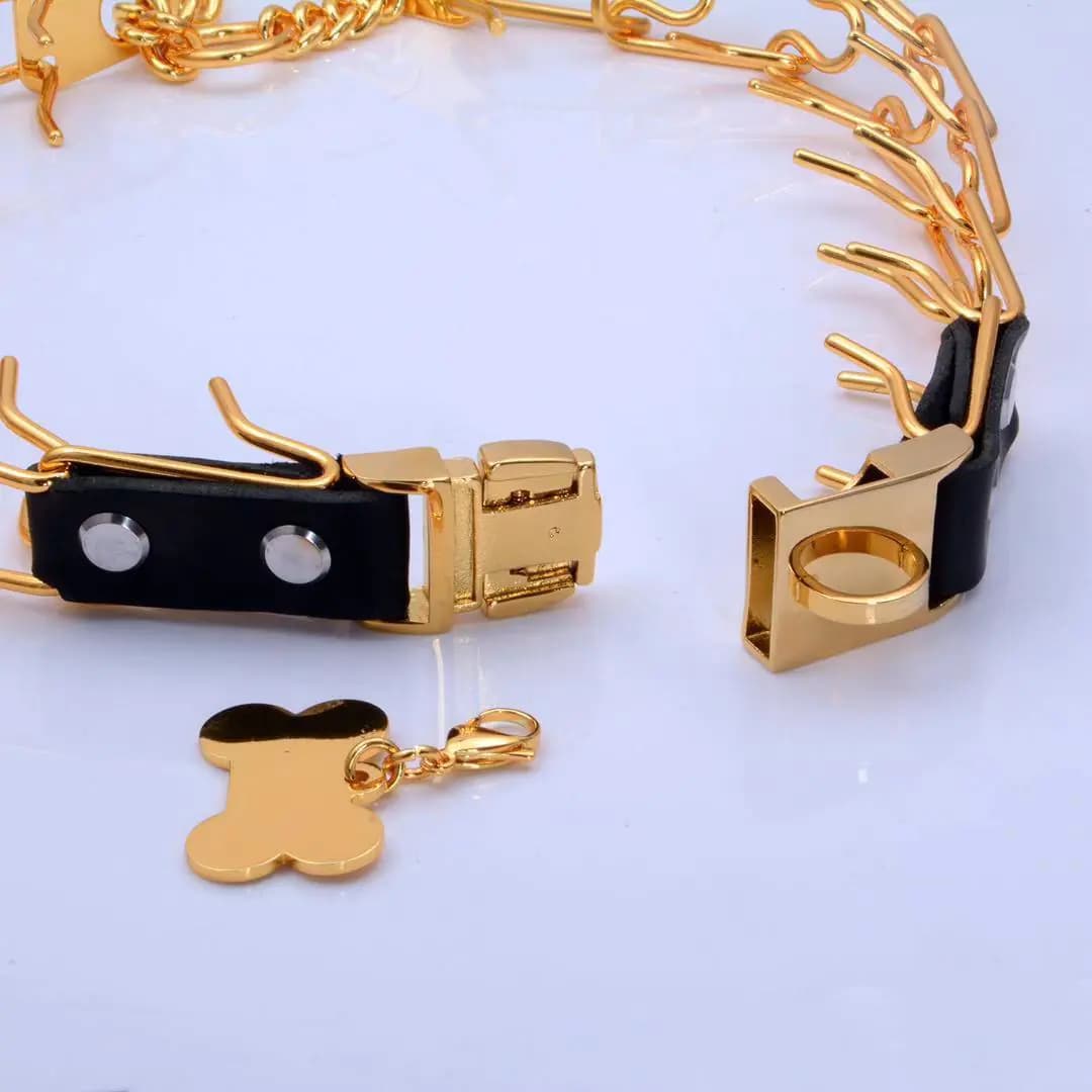 Stainless Steel Pet Stimulation Collar Supplies