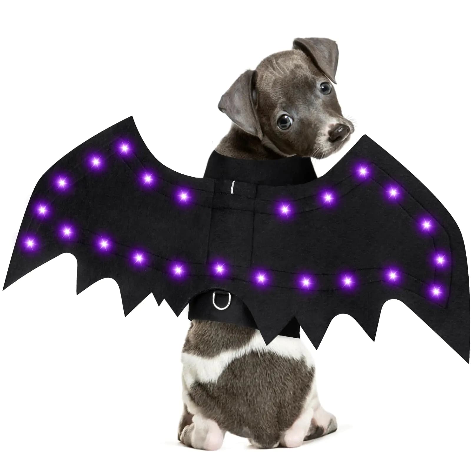 Yoochee Light Up Dog Halloween Costume Halloween Dog Bat Wings Costume with 16 Purple Lights Funny Dog Costumes Halloween for Small Medium Large Dogs Cats Pet Costume Cosplay for Party(Small)
