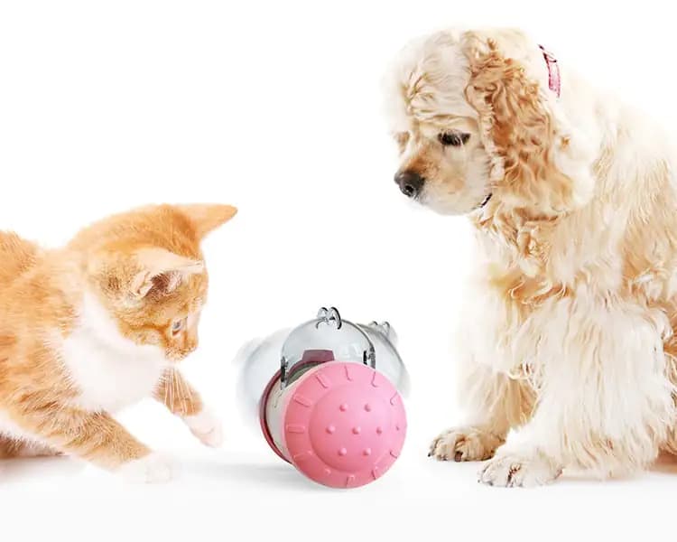 Pet Supplies Tumbler Teasing Cat Swinging Ball Toy