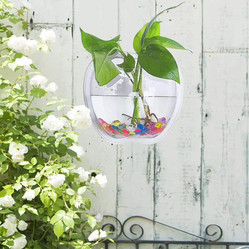 Wall Planter for Home Decor