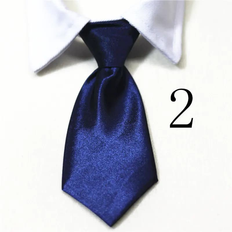 Pet Supplies: Cat & Dog Collars and Ties