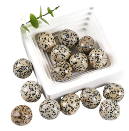 Natural Spotted Stone Decorative Pebble for Aquariums