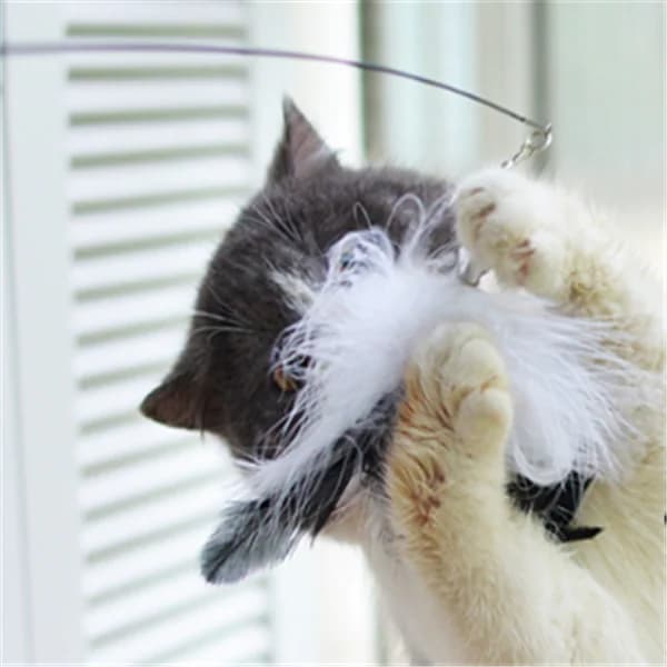 Cat Teaser Wand with Feather Cat Toys and Supplies