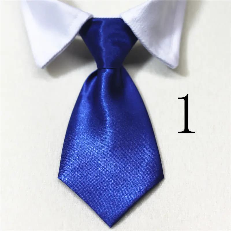 Pet Supplies: Cat & Dog Collars and Ties
