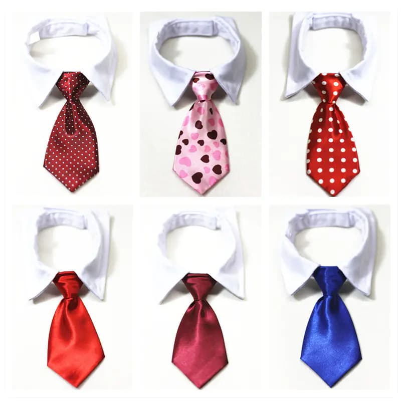 Pet Supplies: Cat & Dog Collars and Ties