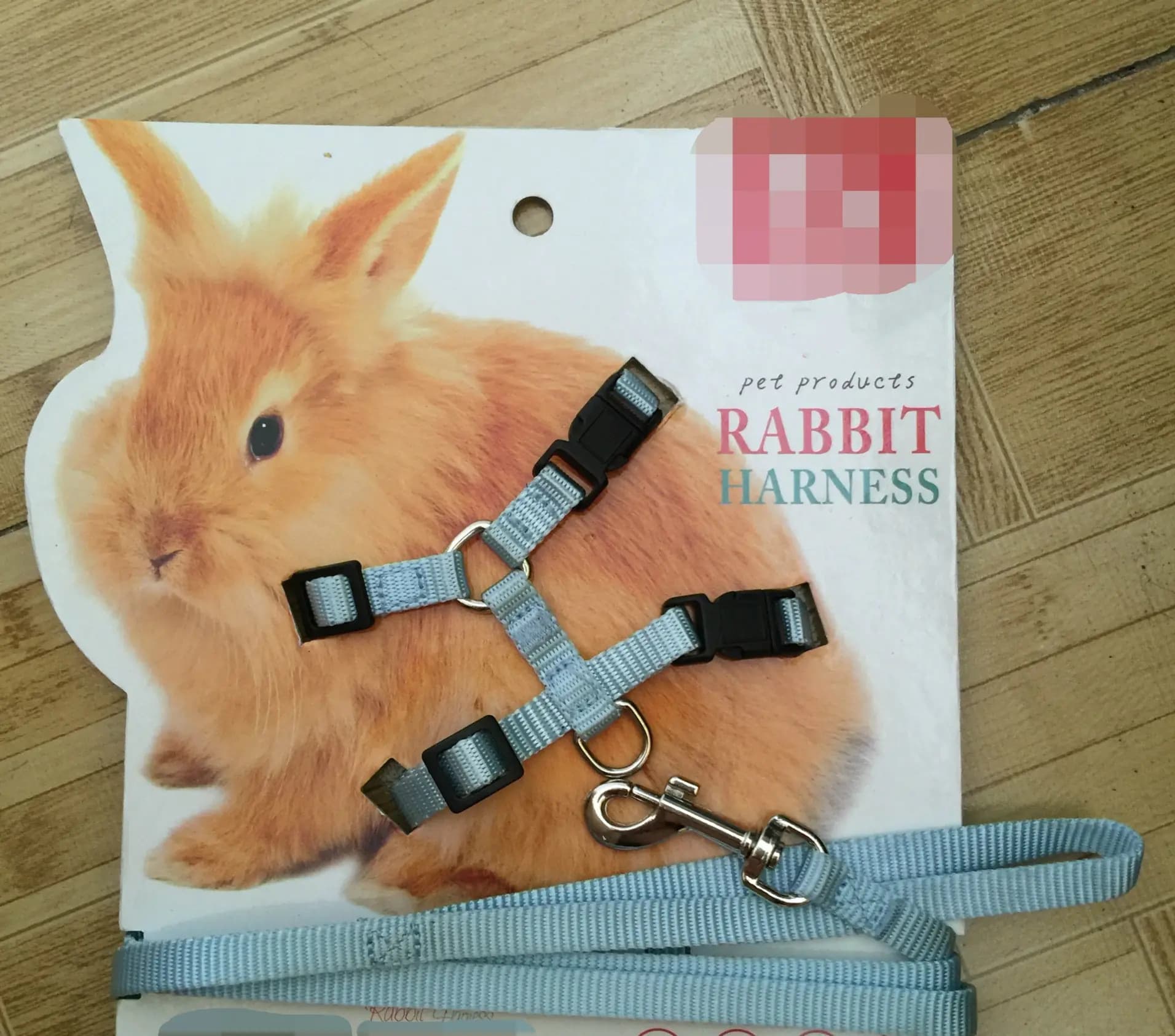 Pet Harness and Leash for Small Animals