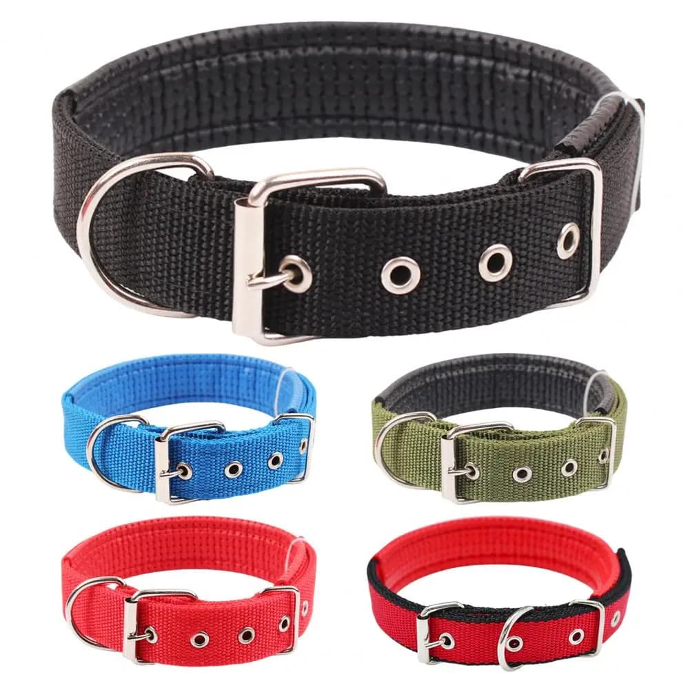 Adjustable Nylon Dog Collar With Traction Ring
