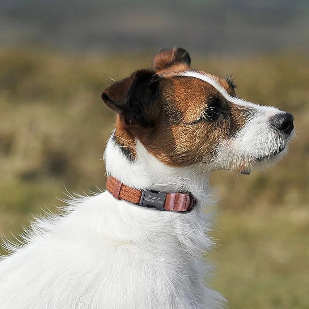 Personalized Durable Nylon Dog Collar Adjustable