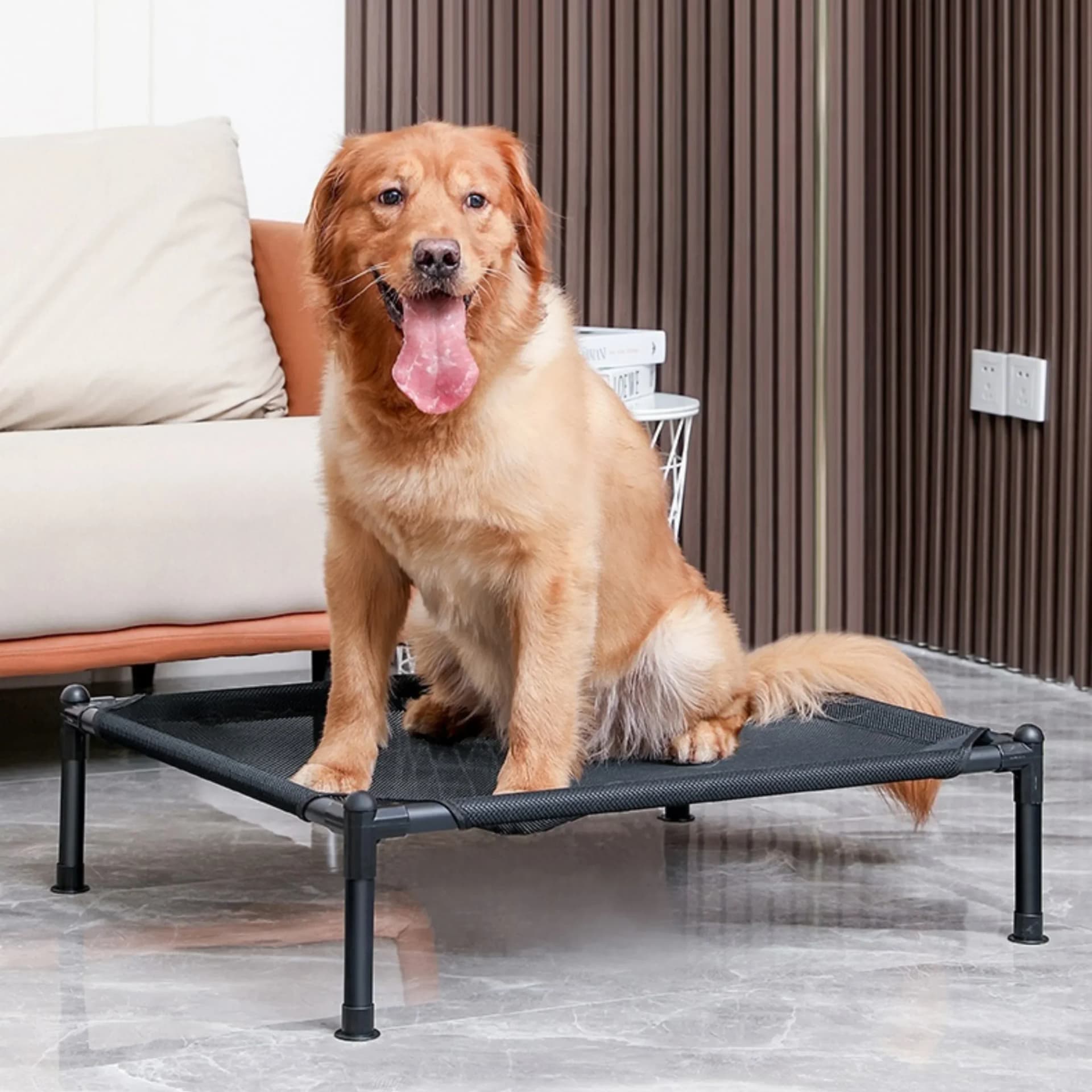 Elevated Portable Pet Bed Four Seasons